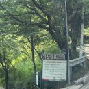 파주기산캠프 | [캠핑장] 서울근교 캠핑장 추천 | 산속에 들어온 느낌의 파주 캠핑장 기산캠프