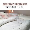 해피 PC | 임산부 바디필로우 내돈내산 해피테일즈 5개월 사용후기