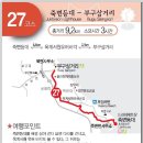 울진부구터미널 Daum카페