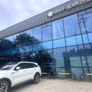 퍼피포레스트 이미지