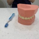 연세구름소아치과의원 이미지