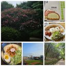 포토덤프] &#34;8월 첫째 주 주간일기&#34; | 잠실야구장 직관, CU 연세우유빵 신상 리뷰, 여름 산책, 라멘집 추천