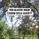 엘로우잔디