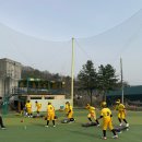 피아크 티스토리
