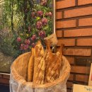 제빵소덤 | [가평] 야외 테라스 있는 대형 카페 제빵소덤 대성리점 :: 내돈내산 후기, 가평 갈 때마다 들리는...