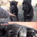 옥룡농장 이미지