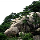 7월28일 둔덕산 용아릉&시원한 계곡 이미지