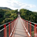 포천 모노레일(주) 이미지