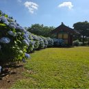 제주특별자치도청 이미지