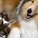 레디에이트(RADIATE) 이미지