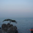 번개식당 이미지