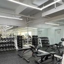 프로틴짐 이미지