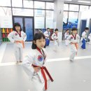 한양대 21세기 태권도장 이미지