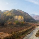 마음에들어 행정사사무소 이미지