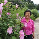 섶밭들마을 이미지