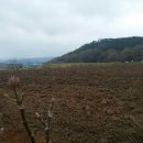 금환농장 이미지