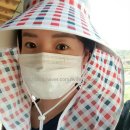 팔암농장 이미지