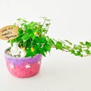 반려식물 원예화분 공예 이미지