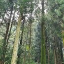 대운환경(주) 이미지