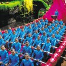 키아오라 이미지