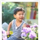 이조스튜디오 Daum카페