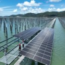 천진 태양광발전소 이미지