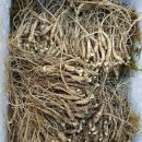 용추사위 이미지