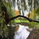 [야간]단전호흡 이미지