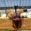 광덕농장 이미지