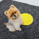 멍 핏 스튜디오 이미지