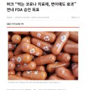 3상 끝나고 올해 출시 예정인 코로나 경구 치료제 이미지