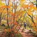 풍차 화장실 이미지