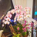 헤븐카페(Heaven cafe) 이미지