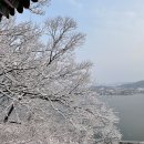 법무법인서교