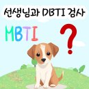 나인페츠 이미지