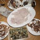 고호대박 이미지