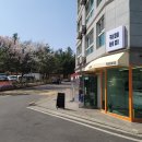 11680-124-101외 | 행신 붕어빵 맛집 카페버미｜124가지 붕어빵 중 4가지 먹어본 후기