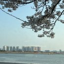 율곡로19길 | 2026.3월 마지막 일상(김성규 콘서트 관람 및 한양 나들이)