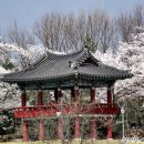 하동공원섬호정 이미지