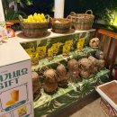 6032 | 세부 모알보알 가성비 숙소 추천 | 트리쉐이드 리조트 내돈내산 후기 (남부투어 숙소 추천)