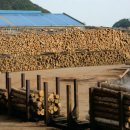 자연과함께(주) 이미지