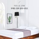 H9396 네이버블로그