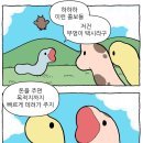 노란부엉이 Daum카페