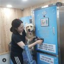 멍스타그램 - 화성시 동탄대로 677-12 | 멍스타그램