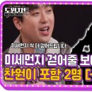 도원 스타뉴스