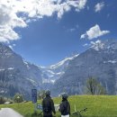 (주)바이크트립 | 스위스 융프라우 여행 | 그린델발트 피르스트 액티비티 트로티바이크 후기