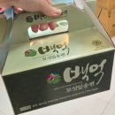 남문로 | 백억모싯잎송편 추석연휴 내돈내산 송편구입후기