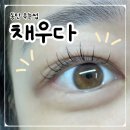 포인트 | 동탄역 속눈썹 펌 채우다! 속눈썹 펌 포인트 후기!