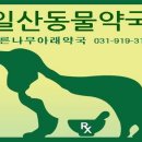 정발산약국 이미지