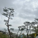 스카이랜드